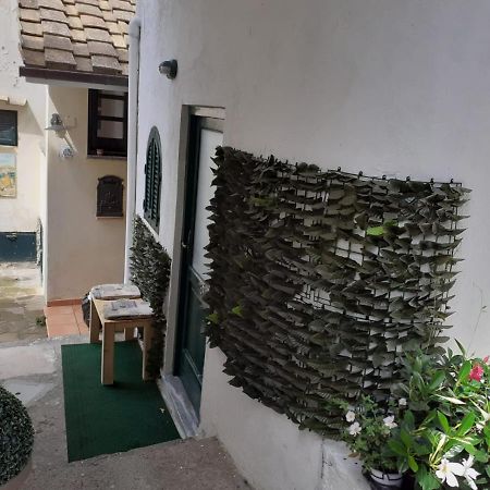 הוילה Termini Emidio House מראה חיצוני תמונה